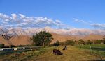 16. sep: Udsigt til 'the Sierras' med Mt. Whitney fra vores hotel i Lone Pine.