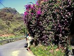 De første 5 km gennem kløften går på en asfalteret vej op til landsbyen Pastrana, hvor vi ser denne væg med pelargonier og bougainvillea. De første 5 km gennem kløften går på en asfalteret vej op til landsbyen Pastrana, hvor vi ser denne væg med pelargonier og bougainvillea.