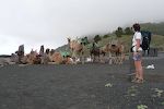 Der er et besøgscenter ved Volcán San Antonio, og her kan man også få en tur på en kamel. Der er et besøgscenter ved Volcán San Antonio, og her kan man også få en tur på en kamel.
