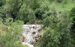 En bjergged (ibex) har fundet et flot udsigtspunkt.