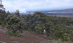 Vi går fra Escape Road til Crater Rim Trail og fortsætter på Byron Ledge Trail, hvorfra vi kan kigge ned i Kilaueas caldera med Halemaumau i baggrunden.