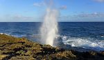 Og det bedste 'blowhole' sprøjt.