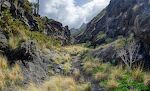 Barranco de Agaete er en flot kløft (se en 3D-video med hele ruten). Barranco de Agaete er en flot kløft (se en 3D-video med hele ruten).