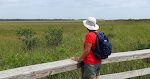 Udsigt fra Anaconda Trail. Indianerne kalder Everglades for 'Pa-hay-okee', som betyder 'en flod af græs'.