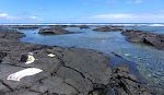 Så er dagen kommet, hvor vi tager vores første snorkeltur i Wai'Opae Tide Pools, som ligger ca. 1½ km fra vores hus.