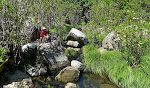 Vi fortsætter op langs bifloden Arroyo del Cañuelo og holder pause et stykke oppe, hvor stien krydser vandløbet. Vi fortsætter op langs bifloden Arroyo del Cañuelo og holder pause et stykke oppe, hvor stien krydser vandløbet.