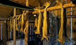 Et billede fra en fiskerhytte på Lofotmuseet. Et billede fra en fiskerhytte på Lofotmuseet.
