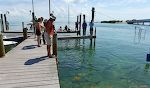Vi besøger Robbie's Marina på Lower Matecumbe Key, hvor man kan fodre tarpon fiskene ligesom i Key West. Vi besøger Robbie's Marina på Lower Matecumbe Key, hvor man kan fodre tarpon fiskene ligesom i Key West.