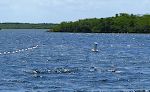 Ved bøjen ligger vraget af et spansk skib fra 1715. Vi snorkler over vraget og ser 13 kanoner og et anker. Blandt fiskene er papegøjefisk. Ved bøjen ligger vraget af et spansk skib fra 1715. Vi snorkler over vraget og ser 13 kanoner og et anker. Blandt fiskene er papegøjefisk.