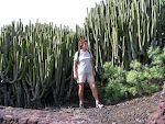 En flot kaktus på Mirador de la Centinela.