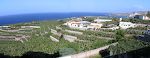 Panorama over bananplantage øst for Garachico.