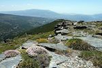 Vi når op til en højde af godt 2200 meter, hvor der er en behagelig temperatur på 17-18°C.