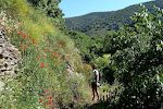 23. maj: Vandretur fra Nechite til Mairena via GR-7.