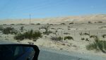 Vi kører igennem Algodones Dunes i Californien, og temperaturen udenfor når op på 40°C.#