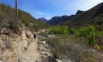 På trods af tørken løber der vand gennem Bear Canyon, og der er en frodig bevoksning langs vandløbet.