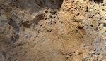 Vi starter i den øvre ende af kløften og har læst, at der findes fossiler i klippevæggen oven for broen. Vi finder da også aftryk af muslingeskaller.