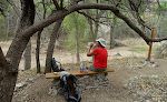 Vi fortsætter ad 'Sonoita Creek Trail' og er her næsten nede ved Sonoita Creek.