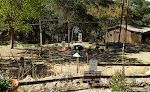 Madera Canyon er berømt for sit rige fugleliv med bl.a. op til 14 forskellige slags kolibrier.