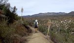 Indtryk fra PCT i San Felipe Hills.