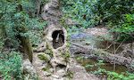 Vi passerer et gammelt, hult træ. Vi passerer et gammelt, hult træ.