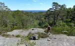 Udsigt til kysten og Kristiansand fra et sted lige neden for Skråstadvarden. Chica løber som sædvanligt foran.