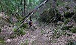Dette stykke er meget stejlere, end det ser ud til. Turen gav en akkumuleret stigning på hele 265 m, selvom stien ser ret flad ud på kortet.