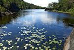 Udsigt over Kyrtjønn, som ligger på grænsen til Skråstadheia naturreservat.