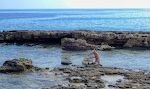 Længere ude på den halvø, som kaldes 'Fig Tree Bay Peninsula', ser vi en lokal fisker, som svømmer ud for at hente sine net. De er fulde af fisk. Længere ude på den halvø, som kaldes 'Fig Tree Bay Peninsula', ser vi en lokal fisker, som svømmer ud for at hente sine net. De er fulde af fisk.