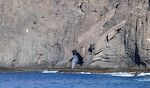 Ude i bugten får jeg øje på et 'blowhole'. Ude i bugten får jeg øje på et 'blowhole'.